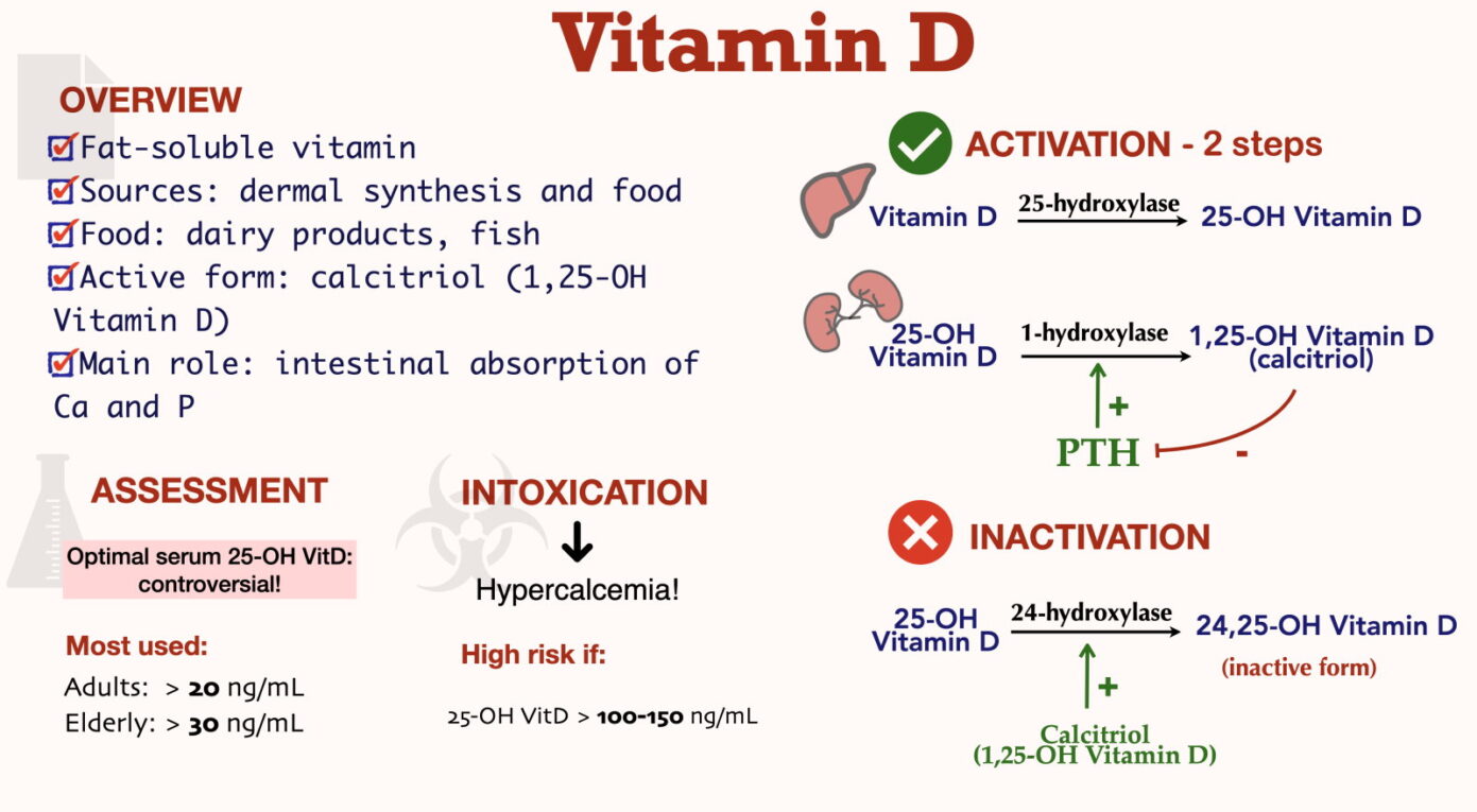 Apa Beda Calcitriol Dengan Vitamin D3